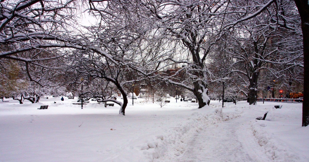 ​Czy zima będzie mroźna i śnieżna? Meteorolodzy mówią jasno