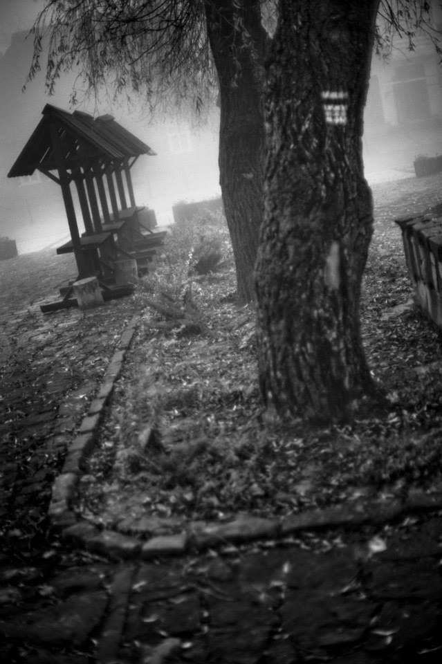 / /Bogdan Frymorgen /RMF FM