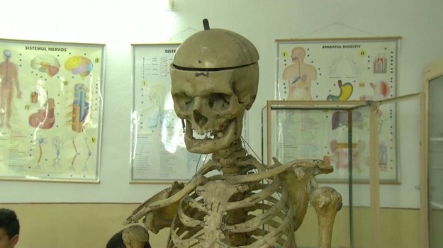Za życia Alexandru Grigore Popescu był nauczycielem w niewielkiej miejscowości Puchenii-Mosneni w Rumunii. Dziś - 50 lat po śmierci mężczyzny - w sali, w której prowadził niegdyś zajęcia, stoi jego... szkielet. Uczniowie poznają tajniki ludzkiej anatomii, bacznie przyglądając się kościom zmarłego belfra. To nie przypadek ani żadna profanacja - pan Popescu był tak oddany swojej pracy, że nawet po śmierci chciał przysłużyć się nauce. A ponieważ w latach swojej aktywności zawodowej często borykał się z niedoborem pomocy dydaktycznych, postanowił, że on sam stanie się rekwizytem - tak, by już żaden z nauczycieli biologii nie musiał narzekać na podobne problemy.


Gest Aexandre Popescu inspiruje zarówno uczniów, jak i nauczycieli z Puchenii-Mosneni. "Poświęcił się całkowicie swojej edukacyjnej misji" - mówią.