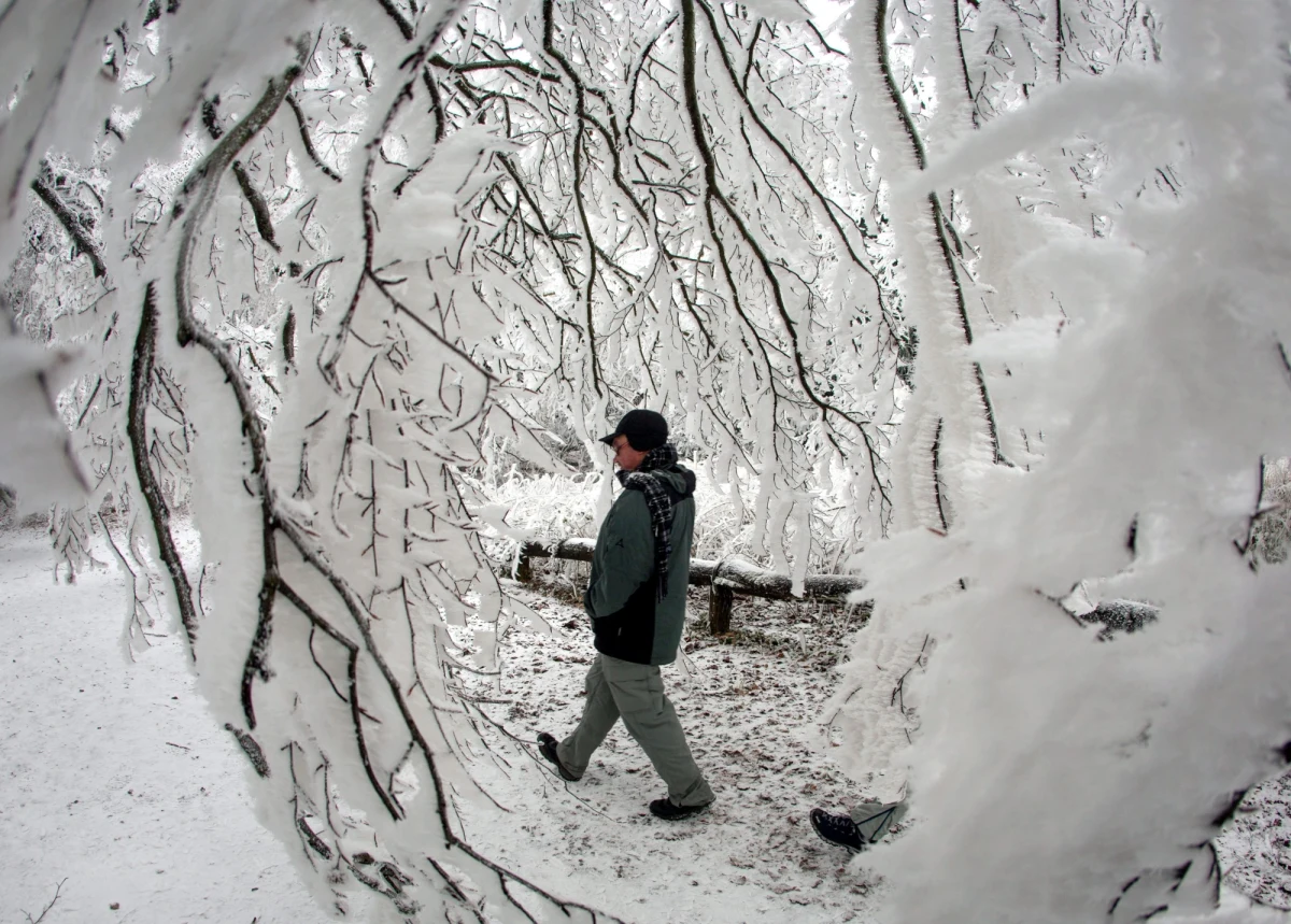 Ponad 20 tys. abonentów pozbawionych jest prądu w okolicach miast Widin i Montana  na północnym zachodzie Bułgarii. Sieć elektryczna nie wytrzymuje ciężaru nawisów lodowych, spowodowanych  przez marznący deszcz. 