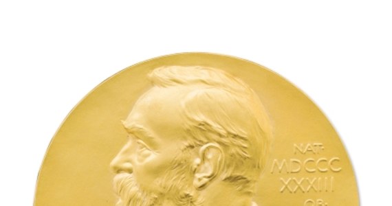 Zanim 10 grudnia tegoroczni laureaci Nagrody Nobla w pięciu dziedzinach otrzymają z rąk króla Szwecji medale oraz dyplomy, wezmą udział w rozpoczynającym się w Sztokholmie Tygodniu Noblowskim. "W tym roku obecni będą wszyscy laureaci" - potwierdził dyrektor Fundacji Noblowskiej Lars Heikensten.