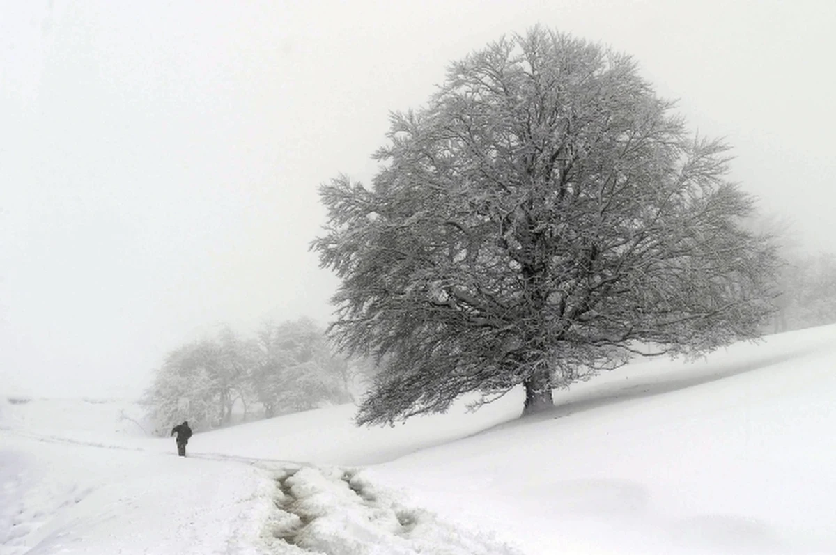 Poniedziałek upłynie pod znakiem opadów śniegu, deszczu połączonego ze śniegiem i deszczu. Termometry będą wskazywać dodatnie wartości. Wtorek zapowiada się znacznie korzystniej. Na niebie pojawi się więcej słońca. Ustąpią też opady. Synoptycy ostrzegają jednak przed bardzo silnym wiatrem. W górach spodziewany jest halny. 