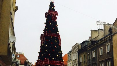 Lodowe rzeźby, iluminacje i karuzela. Jarmark Świąteczny w Olsztynie