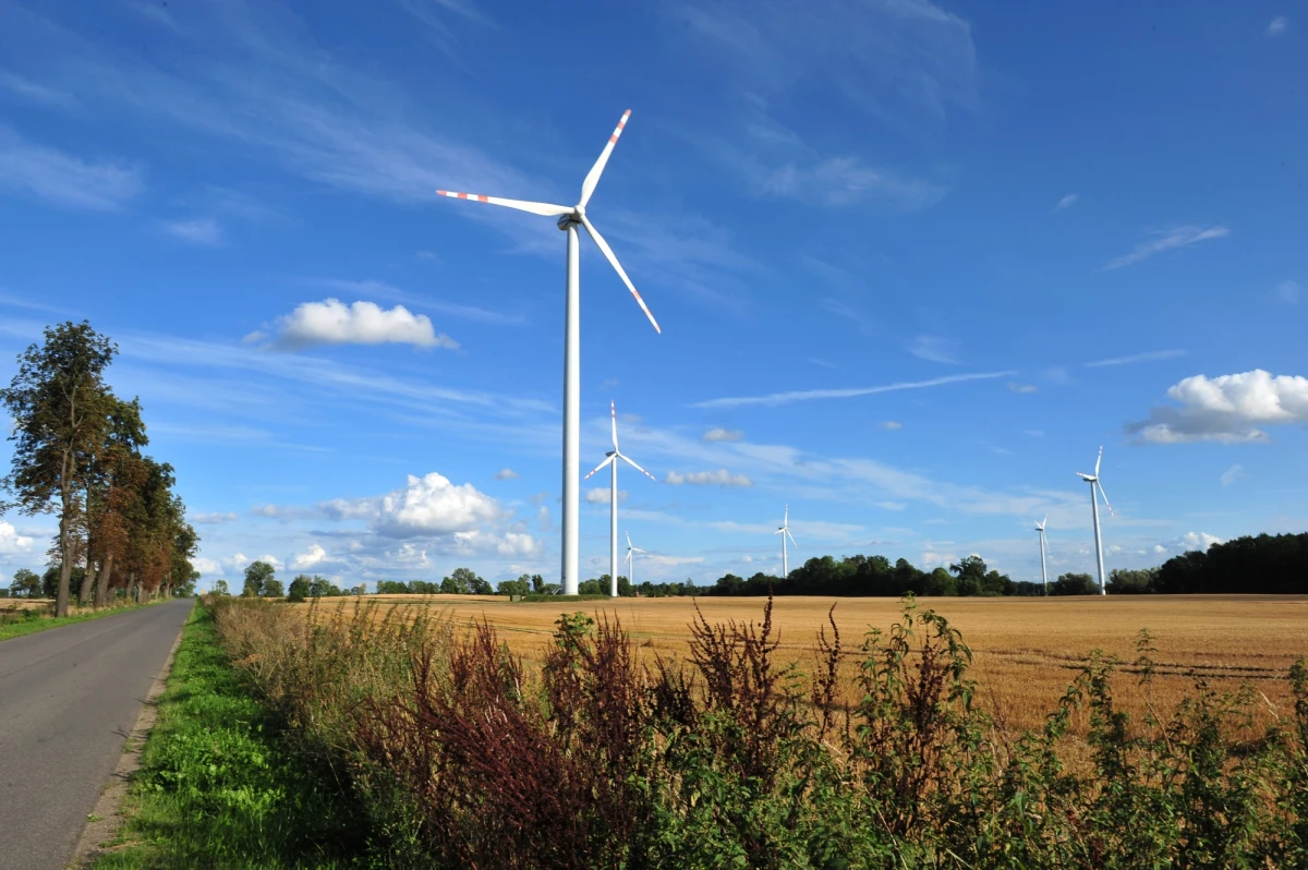 Polska ma kilka tygodni na to, by uniknąć ogromnej unijnej kary - dowiedziała się nasza korespondentka w Brukseli Katarzyna Szymańska Borginon. To właśnie wtedy zapadnie wyrok Trybunału Sprawiedliwości Unii Europejskiej w związku z promocją energii ze źródeł odnawialnych. Jeśli Polska do tego czasu nie dostosuje się do unijnej dyrektywy, może zapłacić do 61 tysięcy euro kary za każdy dzień.