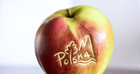 W ciągu roku wartość marki „Polska” wzrosła o 105 miliardów dolarów i wynosi 602 miliardy - informuje "Puls Biznesu". To pozwoliło na zajęcie 20. miejsca w rankingu BrandFinance Nation Brand. 