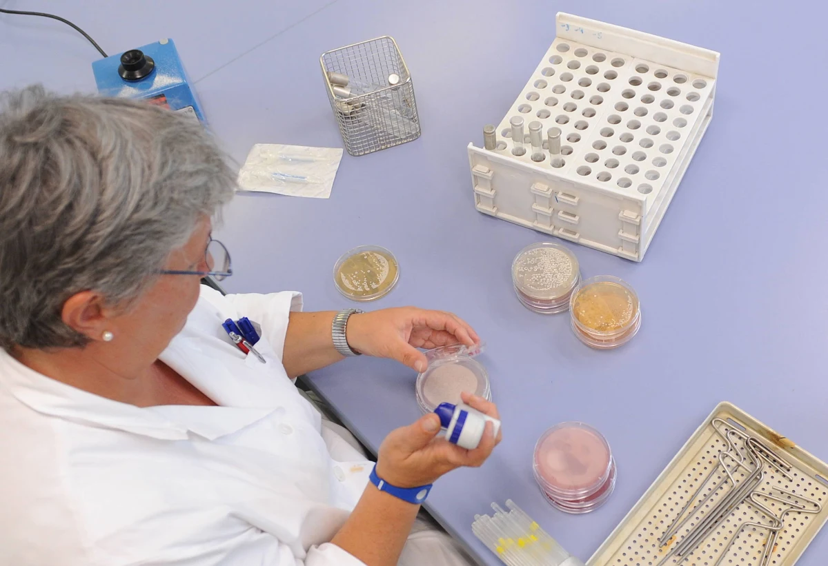 Bakterią gronkowca złocistego mogli zarazić się pensjonariusze Domu Pomocy Społecznej w Legnickim Polu na Dolnym Śląsku. Jej obecność wykryto na rękach jednego z pracowników. Na złe samopoczucie skarżyło się 60 podopiecznych ośrodka. Dwie osoby zmarły, a dwie trafiły do szpitala.