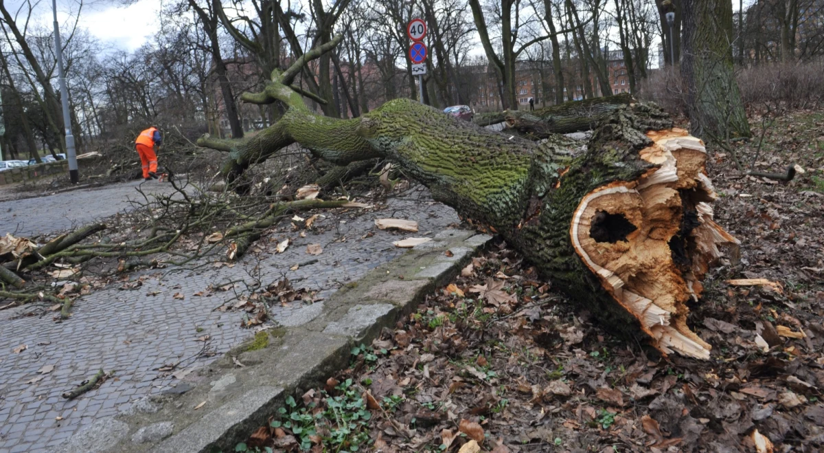 W nocy w województwach: pomorskim, zachodniopomorskim, wielkopolskim, dolnośląskim, kujawsko-pomorskim, lubuskim, opolskim, śląskim, małopolskim, warmińsko-mazurskim oraz podkarpackim, spodziewać się musicie silnego wiatru. Najsilniej wiać będzie na wybrzeżu, gdzie porywy mogą osiągać do 90 km/h i w górach - tam może wiać z prędkością do 120 km/h.