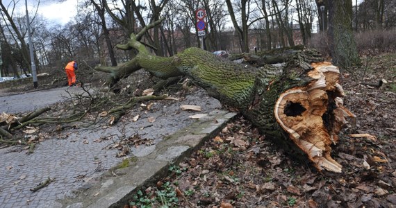 W nocy w województwach: pomorskim, zachodniopomorskim, wielkopolskim, dolnośląskim, kujawsko-pomorskim, lubuskim, opolskim, śląskim, małopolskim, warmińsko-mazurskim oraz podkarpackim, spodziewać się musicie silnego wiatru. Najsilniej wiać będzie na wybrzeżu, gdzie porywy mogą osiągać do 90 km/h i w górach - tam może wiać z prędkością do 120 km/h.