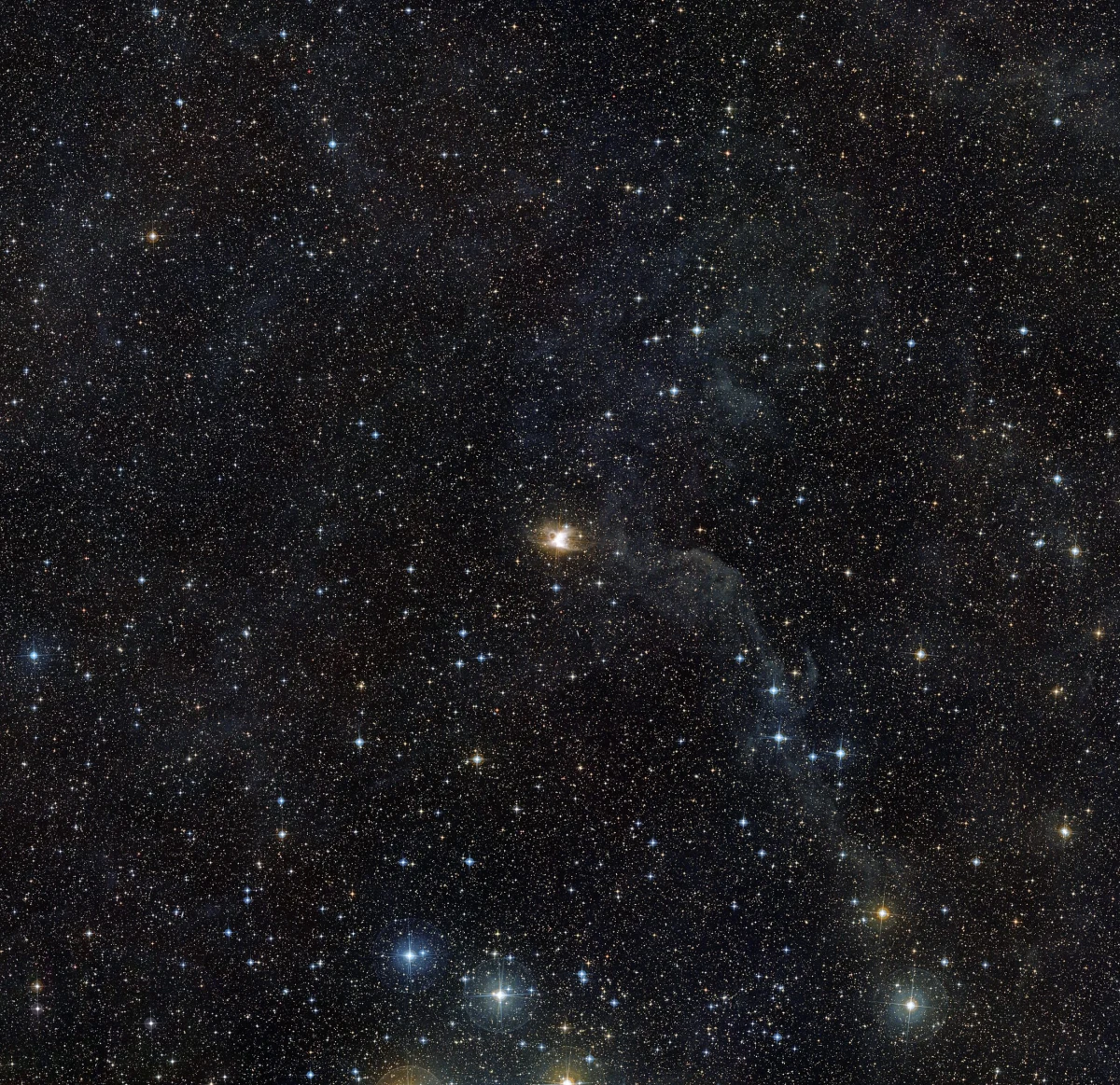 W tym roku do miana pierwszej gwiazdki w wieczór wigilijny pretendują dwie planety: Wenus i Mars oraz gwiazdy Wega i Kapella. Można zacząć ich wypatrywać około godziny 16.