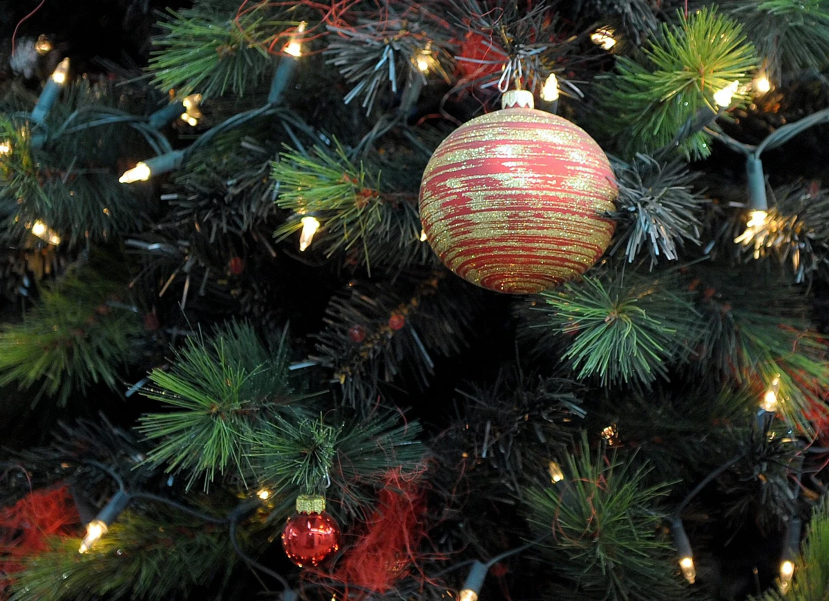 Świąteczny nastrój, jak się okazuje, może zdziałać cuda. W Chełmnie w woj. kujawsko-pomorskim złodziej najpierw ukradł choinkę, ale potem ją… oddał. 