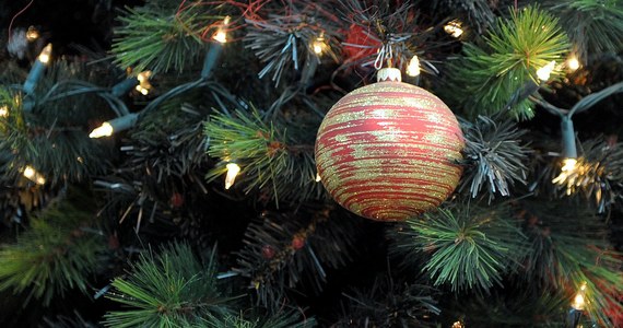 Świąteczny nastrój, jak się okazuje, może zdziałać cuda. W Chełmnie w woj. kujawsko-pomorskim złodziej najpierw ukradł choinkę, ale potem ją… oddał. 