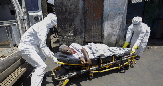 Liczba ofiar śmiertelnych epidemii wirusa ebola w Afryce Zachodniej wzrosła do 7842. W trzech krajach najbardziej dotkniętych chorobą zachorowało w sumie ponad 20 tys. osób - wynika z danych Światowej Organizacji Zdrowia (WHO). 