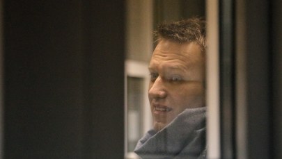 Bracia Nawalni skazani na kary więzienia