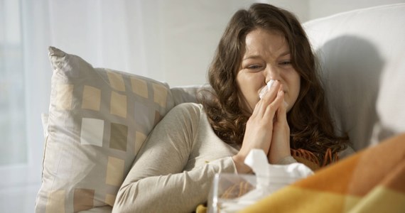 Naukowcy z Uniwersytetu Yale wiedzą już, dlaczego objawy przeziębienia najwcześniej odczuwamy w nosie. I dlaczego w ogóle cierpimy na nie wtedy, gdy zdarzy nam się zmarznąć. 