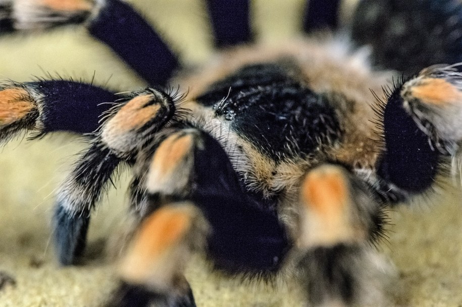 /Wojciech Pacewicz /PAP