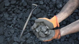 Ekolodzy i samorządy protestują: Minister chce wprowadzić fikcyjne normy węgla 