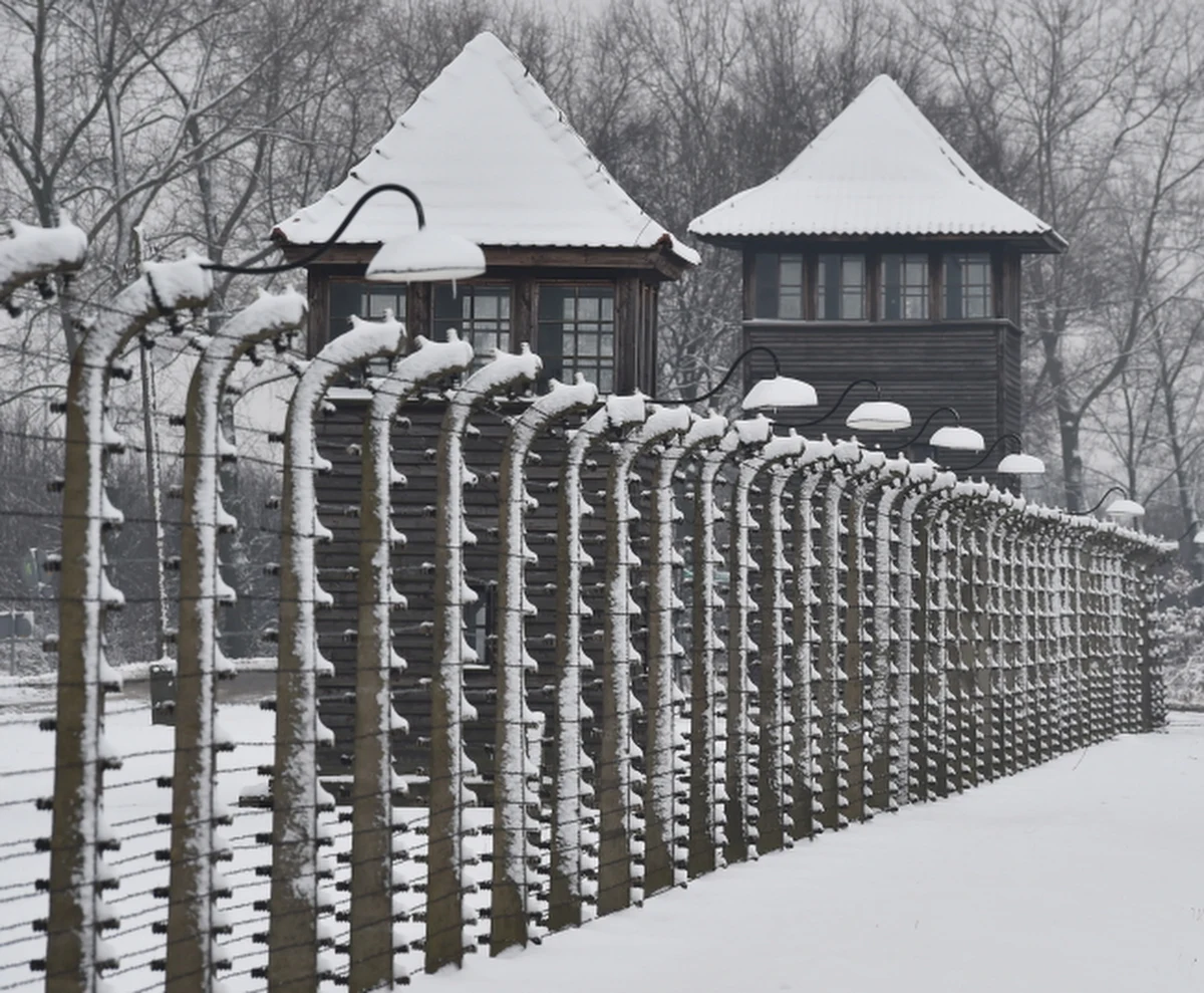 Europejscy przywódcy uczcili we wtorek 70. rocznicę wyzwolenia Auschwitz. Apelowali o pamięć, obronę instytucji demokratycznych i praw człowieka. Prezydent Niemiec Joachim Gauck powiedział, że Auschwitz pozostanie elementem niemieckiej tożsamości. Papież Franciszek stwierdził, że obóz to „krzyk straszliwego bólu i cierpienia”.  Z kolei prezydent Litwy Dalia Grybauskaite stwierdziła, że Auschwitz to okrutna lekcja "tego, jak obojętność i ciche przyzwolenie prowadzą do agresji, przemocy, wojny".