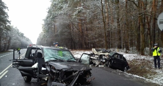 Osiem osób trafiło do szpitala po zderzeniu pięciu samochodów na krajowej 17. Do wypadku doszło w pobliżu Żyrzyna na Lubelszczyźnie. 