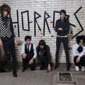 The Horrors