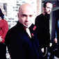 Disturbed