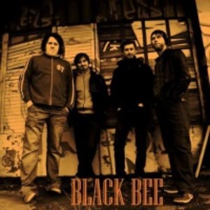 Black Bee