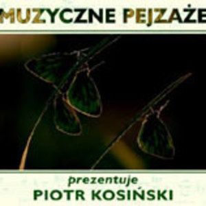 Muzyczne pejzaże - prezentuje Piotr Kosiński