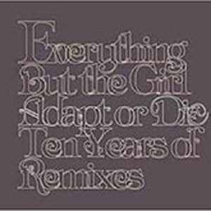 Adapt or Die - Ten Years of Remixes