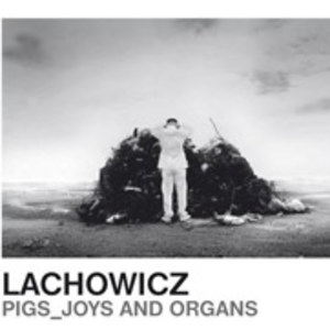 Pigs, Joys And Organs