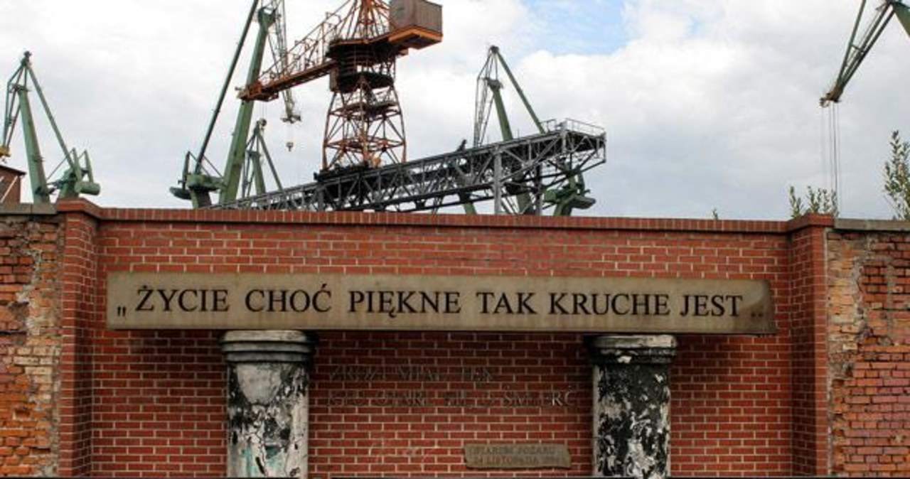 życie Choć Piękne Tak Kruche Jest Historia Piosenki Golden Life: Życie choć piękne, tak kruche jest - Muzyka w INTERIA.PL