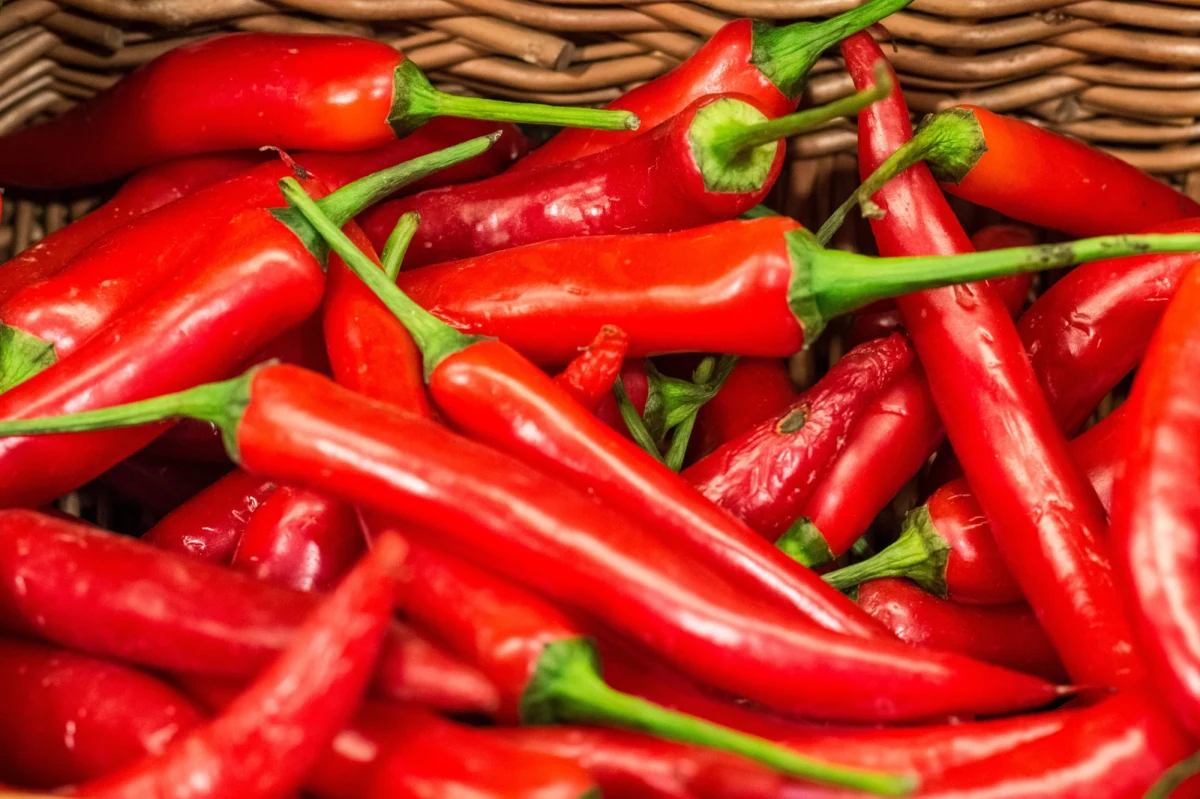 Papryczki chili pomogą nam w walce z nadwagą? Naukowcy z Uniwersytetu Wyoming ogłosili właśnie obiecujące wyniki badań w tej sprawie. Słowem kluczowym w ogłoszonych przez nich wynikach badań jest kapsaicyna, związek chemiczny odpowiedzialny za piekący smak papryczek. Od pewnego czasu już mówi się o niej, jako o środku wspomagającym odchudzanie. Wygląda na to, że teraz wiadomo dokładniej, na czym efekt jej działania polega.