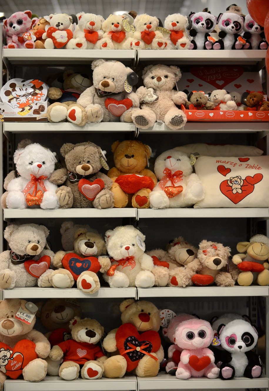 /Bartłomiej Zborowski /PAP