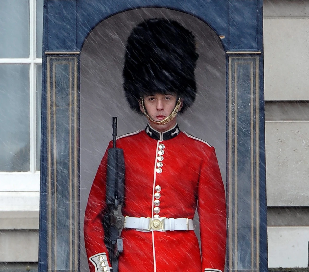 Burmistrz Londynu staje w obronie kanadyjskich niedźwiedzi. Boris Johnson chce włożyć na głowy gwardzistów strzegących Pałacu Buckingham nakrycia głowy z syntetycznego materiału. Królewska gwardia nosi imponujące czapy od bitwy pod Waterloo, ale coraz częściej pojawiaj się glosy wzywające do wycofania ich, ponieważ wykonane są z niedźwiedziej skóry.  