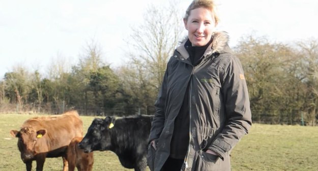 Właściciele hodowli bydła Pinewood Nurseries w miejscowości Stoke Poges w Anglii (hrabstwo Buckinghamshire) przeżyli szok! Harriet – jałówka rasy dexter – zaszła w ciążę i ocieliła się, chociaż… na farmie nie było żadnego byka! Cielę, które nazwano Petal, przyszło na świat 8 grudnia 2014 roku – osiem miesięcy po tym, jak Harriet przybyła na farmę wraz z transportem sześciu innych krów. Liz i Tom Robinson – właściciele farmy – nie mieli pojęcia, że krowa znajduje się w odmiennym stanie - tym bardziej, że w jej wyglądzie nie zaszły żadne zmiany, a poprzedni właściciel zapewniał, że Harriet nie była kryta. Zorientowali się w sytuacji dopiero wtedy, kiedy rozpoczął się poród… Kto zatem jest ojcem i kiedy TO się stało? Pewną poszlaką może być fakt, że ciąża u krowy trwa 9 miesięcy...