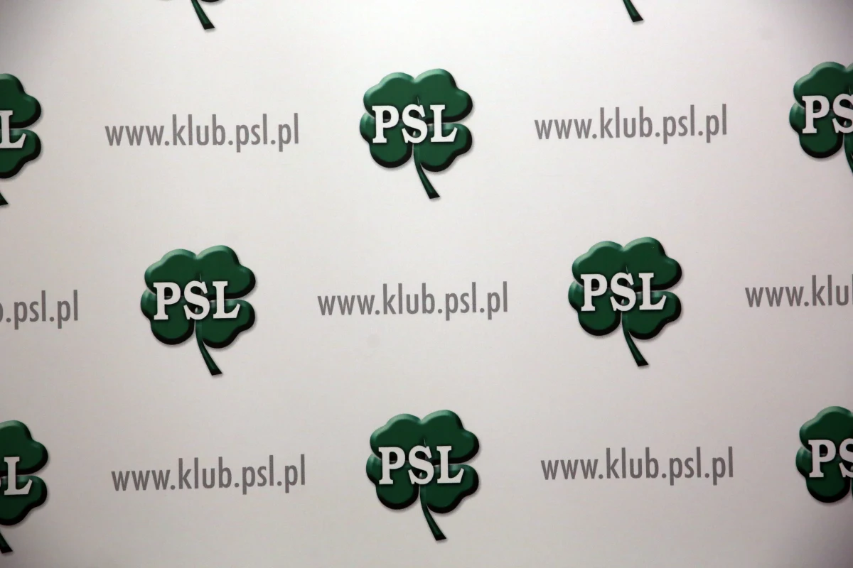 Sąd Najwyższy uznał skargę PSL na decyzję PKW o odrzuceniu sprawozdania finansowego partii za 2013 rok za gromadzenie środków poza kontem partii. Oznacza to, że ludowcy nie stracą prawa do subwencji. 