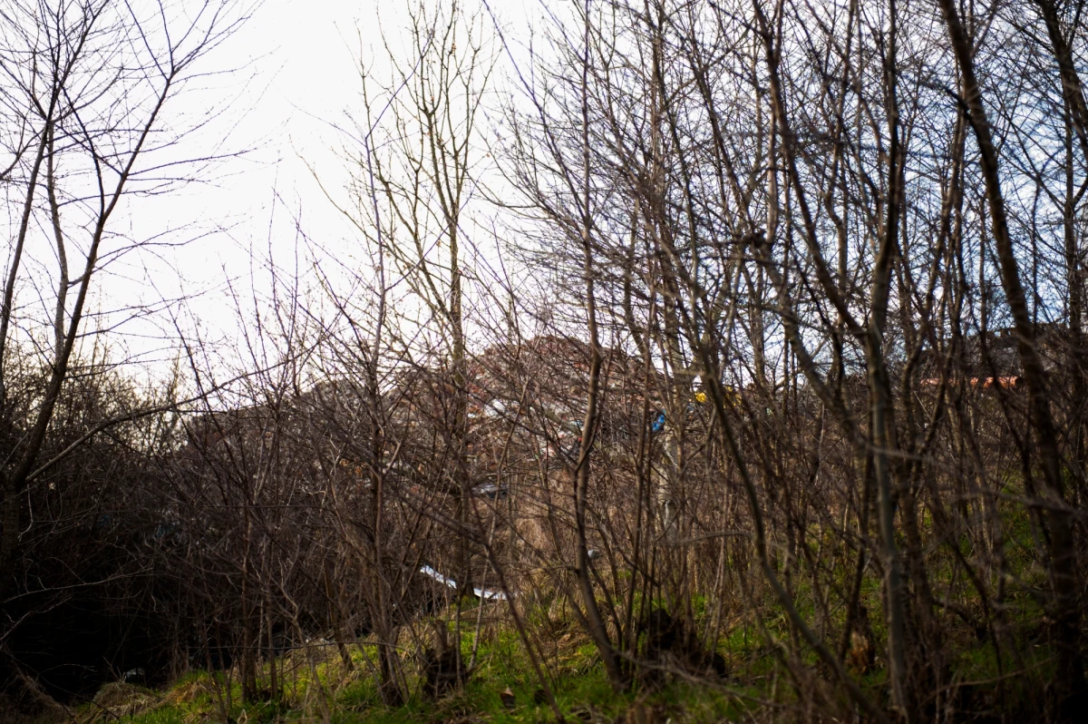 Mieszkańcy Wieliczki apelują o pomoc. Mają dosyć nielegalnego składowiska odpadów na terenie prywatnej firmy na osiedlu Bogucice. Tony odpadów składowane są na terenie prywatnej firmy. Urzędnicy rozkładają ręce i przerzucają się odpowiedzialnością. Wiemy już, że będzie interwencja Urzędu Marszałkowskiego w tej sprawie. 