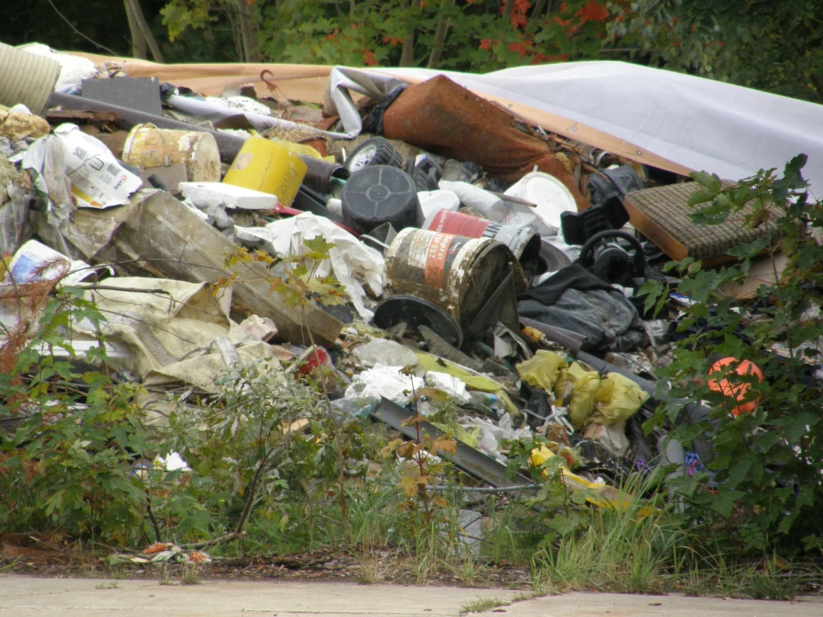 Zakład utylizacji akumulatorów w mazurskich Korszach nie wpływa negatywnie na pobliski obszar Natura 2000. Takie są wyniki analizy Dyrekcji Ochrony Środowiska w Olsztynie - informuje reporter RMF FM Piotr Bułakowski.