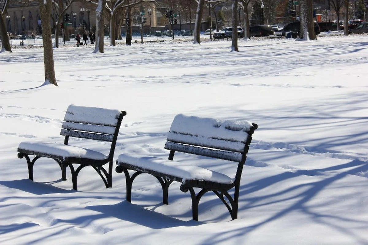 ​Kilkanaście centymetrów śniegu to dla mieszkańców stolicy USA sporo. Wystarczająco dużo by odwołane zostały lekcje, by pracownicy federalni mieli wolne, by linie lotnicze odwołały wiele lotów (do tego ostatniego nie mam wątpliwości bo lepiej opóźnić lot niż narażać pasażerów).