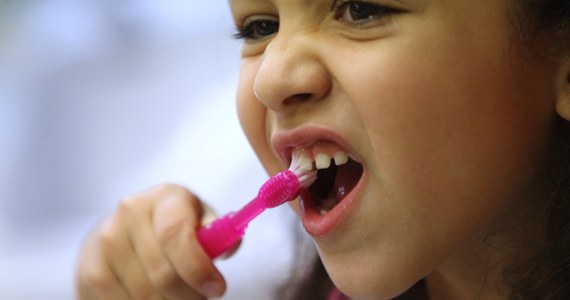 94 proc. Polaków sądzi, że zjedzenie jabłka zastępuje umycie zębów - wykazało ostatnie badanie. Potwierdza to niską świadomość naszego społeczeństwa na temat higieny jamy ustnej - oceniają eksperci z okazji obchodzonego 20 marca Światowego Dnia Zdrowia Jamy Ustnej.