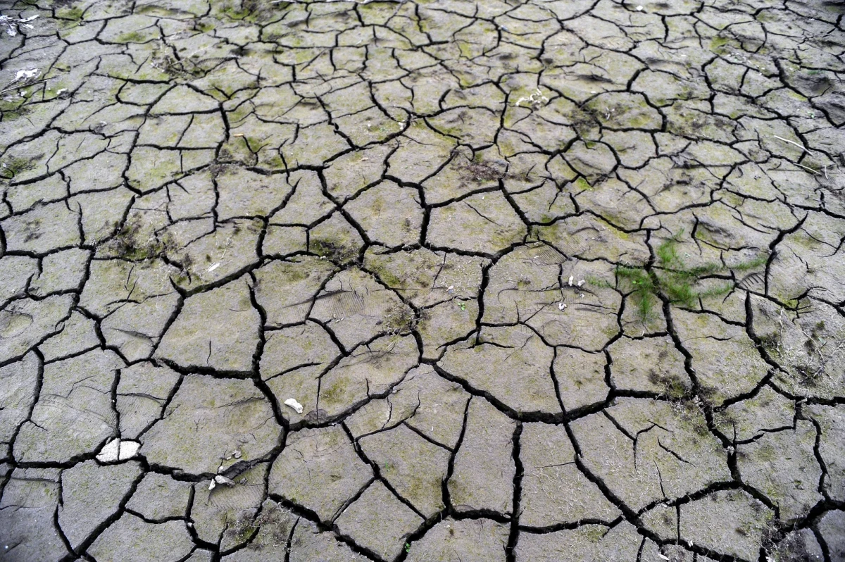 „Grozi nam susza. Ona już nawet występuje od czasu do czasu. Zgodnie z istniejącymi scenariuszami klimatycznymi, niestety tendencja podnoszenia się temperatury będzie się coraz bardziej nasilała i opady będą większe zimą, natomiast latem możemy się spodziewać większych susz” – przyznaje w rozmowie z reporterką RMF FM prof. Maciej Zalewski z Międzynarodowego Instytutu PAN Europejskiego Regionalnego Centrum Ekohydrologii. Najgorsza sytuacja jest w centralnej części Polski. Problemami z wodą zajmujemy się w Światowym Dniu Wody.