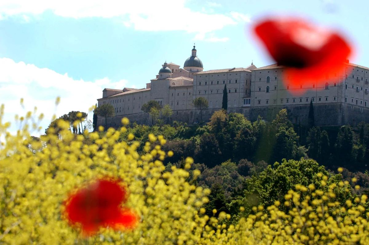 Złodzieje złomu rozbierają polski czołg spod Monte Cassino, który stoi w miejscu bitwy - taki sygnał otrzymała ambasada RP w Rzymie. Polska placówka poprosiła o interwencję lokalne władze i Straż Leśną, patrolującą ten teren. 