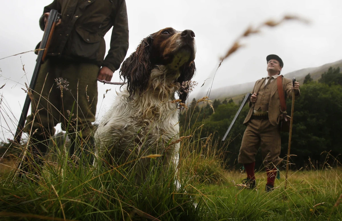 „Organizacje broniące praw dzieci domagają się zakazu udziału najmłodszych w polowaniach. Mają w tym wsparcie ekologów” – pisze środowy „Dziennik Polski”. „Myśliwi zabijają zwierzęta z wielkim zapałem i tego samego uczą najmłodszych. To nauka zabijania w ogóle, przecież polowania były kiedyś treningiem młodych wojowników” – tłumaczy Zenon Kruczyński z Pracowni na Rzecz Wszystkich Istot.