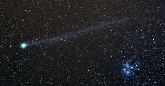 Grupa czterech polskich miłośników astronomii odkryła nową kometę w Układzie Słonecznym. Obiekt otrzymał oznaczenie C/2015 F2 (Polonia). Jest to czwarta kometa w powojennej historii odkryta przez Polaków w wyniku obserwacji teleskopami naziemnymi.​ Informację podał periodyk "Urania - Postępy Astronomii".
