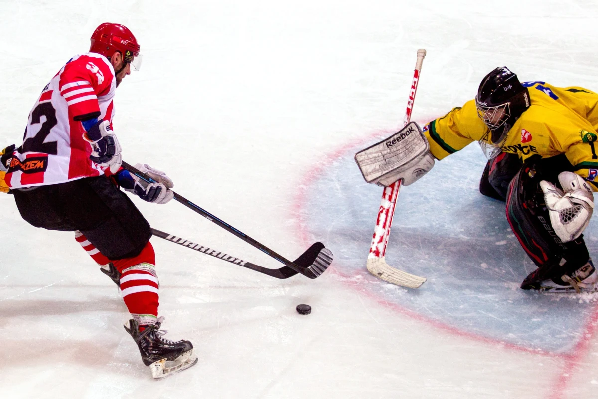 HC GKS Katowice był najsłabszą drużyną kończącego się sezonu hokejowej ekstraligi. Katowiczanie wygrali tylko dwa z 48 meczów. "Osiągnęliśmy cel, jakim było przetrwanie. Czas pokaże, czy ktoś to dostrzeże" - podsumowuje wiceprezes klubu Dariusz Domogała.