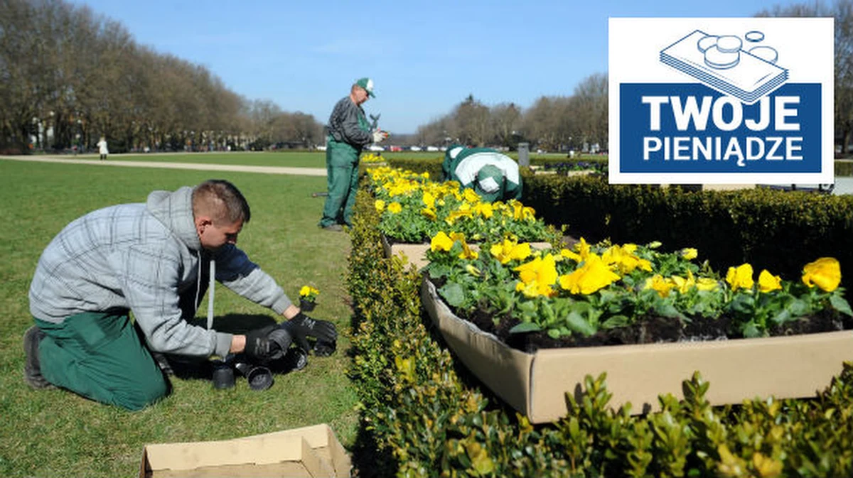 Na zmianę pory roku czekają zwłaszcza firmy wiosennego biznesu. To już nie jest działalność garażowa i półoficjalna. Profesjonalne przedsiębiorstwa porządkują nie tylko biura i lokale handlowe, lecz także mieszkania czy domy.