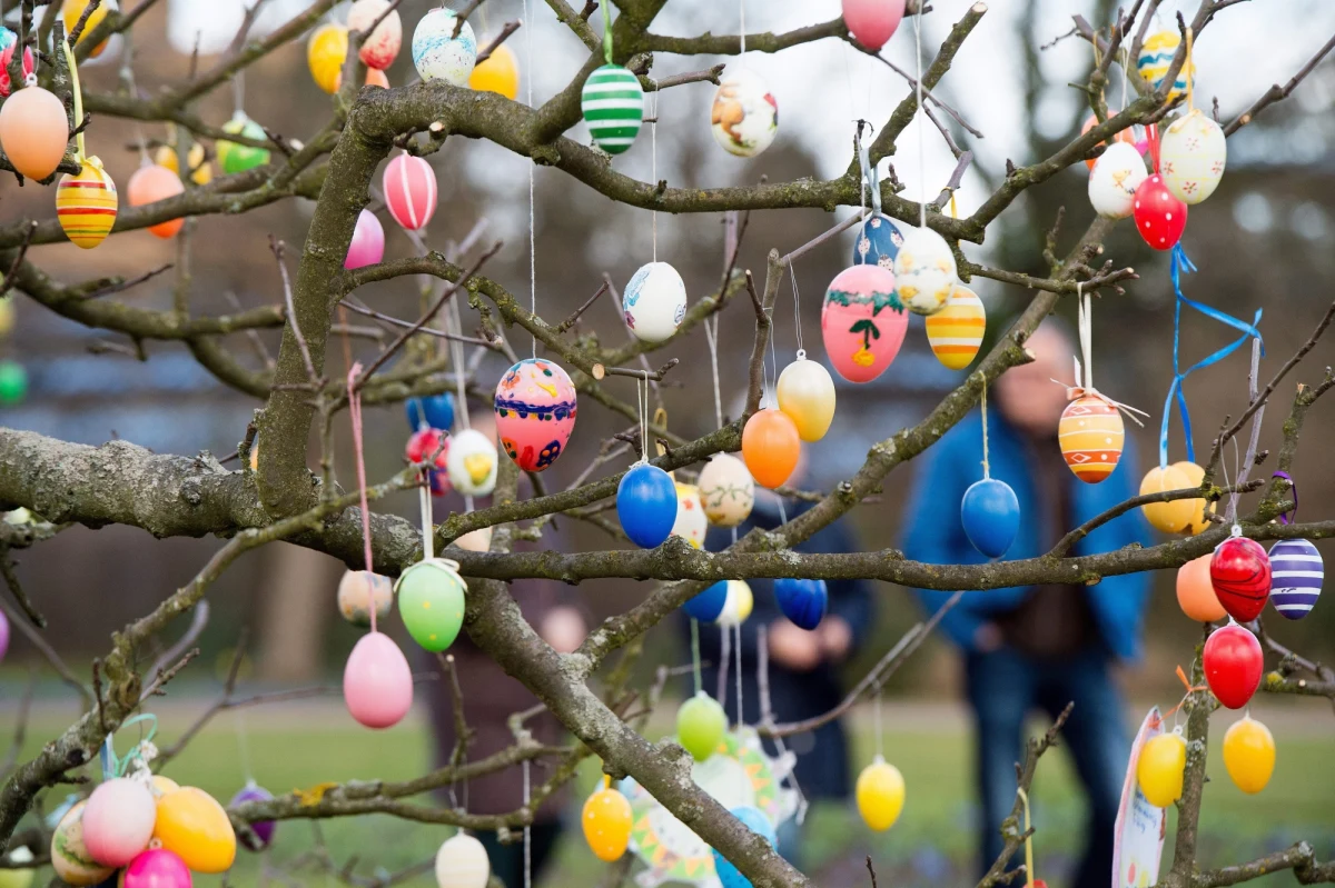 Aminokwasy, których ludzki organizm nie może sam wytworzyć, niewiele tłuszczów, witaminy - przeciwutleniacze chroniące przed miażdżycą i nowotworami - takie m.in. składniki odżywcze i substancje zawiera jajo, które będzie królować na wielkanocnych stołach.   
