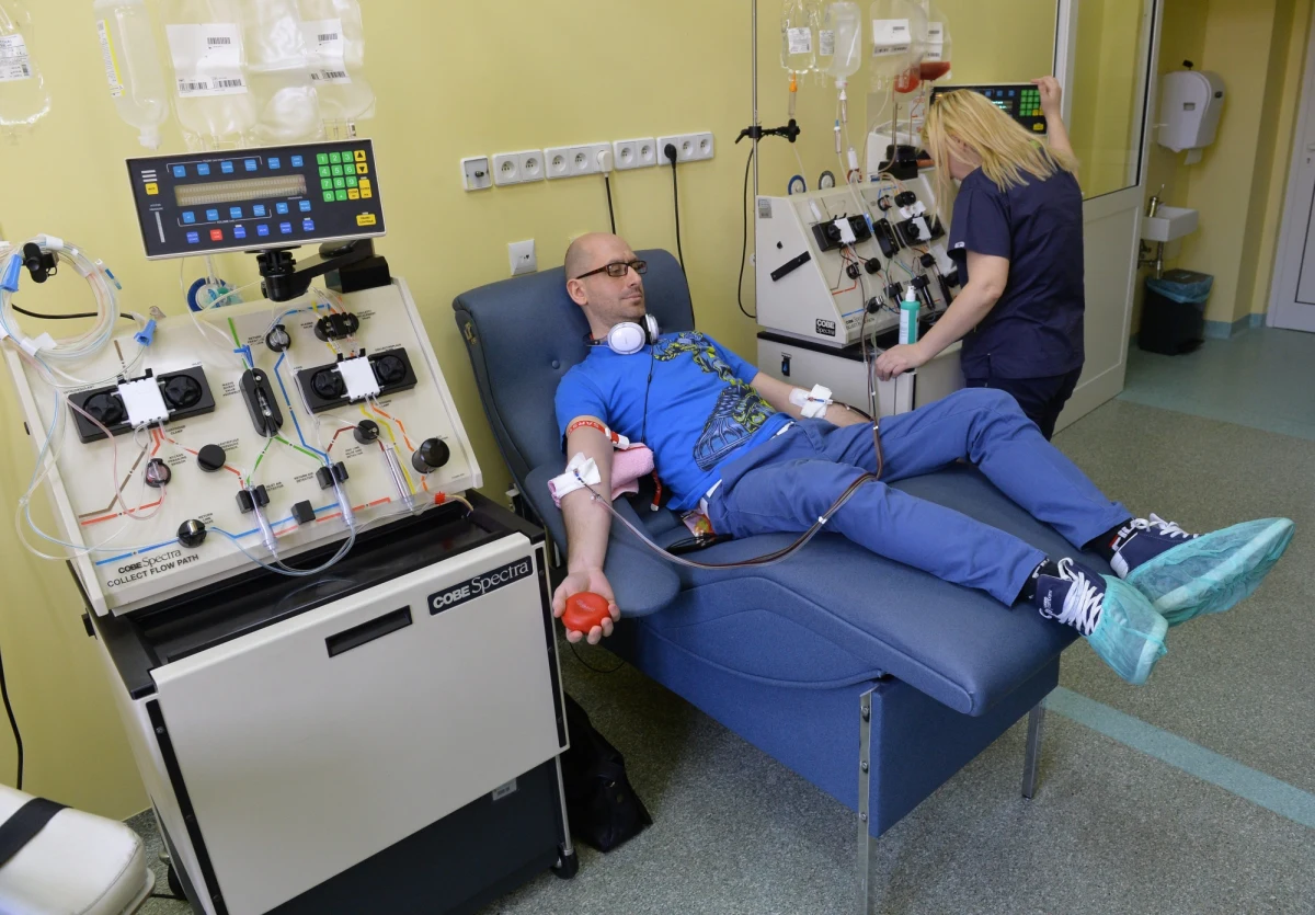 Polska jest na trzecim miejscu w Europie i siódmym na świecie pod względem liczby osób znajdujących się w światowej bazie dawców szpiku (Bone Marrow Donors Worldwide - BMDW). W rejestrze jest 25 milionów potencjalnych dawców, z czego ponad 740 tysięcy to Polacy.