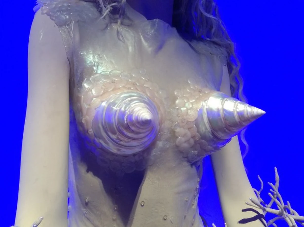 Rekordy popularności bije w Paryżu wystawa kreacji najbardziej prowokacyjnego i kontrowersyjnego dyktatora mody Jean-Paula Gaultiera. Przed zabytkowym Wielkim Pałacem Ekspozycyjnym w Paryżu ustawiają się ogromne kolejki. Chętni muszą często czekać ponad cztery godziny, by zobaczyć twórczość awangardowego artysty, który ubiera Madonnę i inne gwiazdy światowego show-biznesu. 