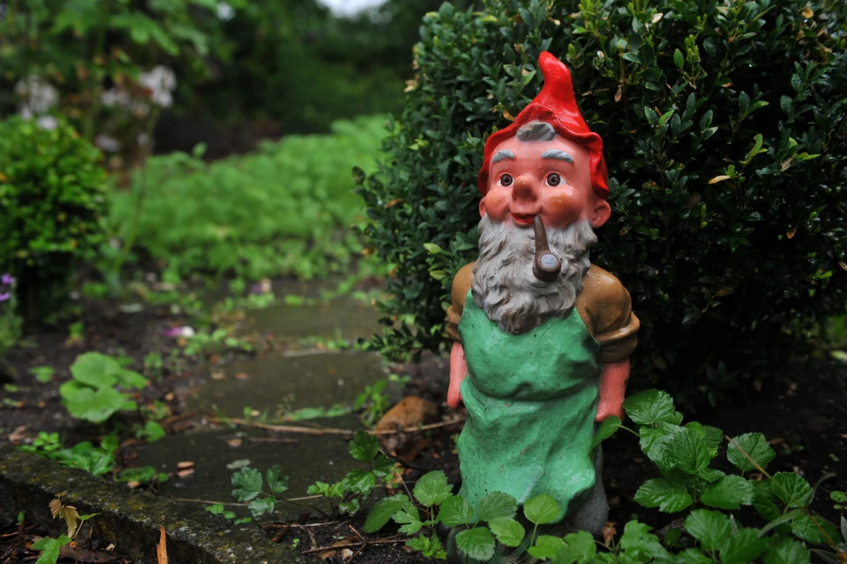 „Leśne skrzaty i wróżki” – tak zatytułowana jest specjalna zielona teczka włoskiej Straży Leśnej, w której zbierane są relacje osób twierdzących, że w lasach w Apeninach spotkali dziwne stwory. 