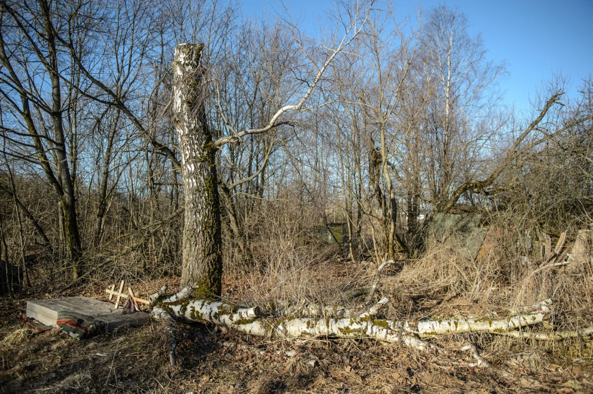 Kończąc tydzień, rozpoczęty ujawnieniem przez RMF FM stenogramu z najnowszego odczytu nagrań z prezydenckiego tupolewa, a zakończony obchodami rocznicy katastrofy sprzed pięciu lat warto wyjaśnić związane z naszym działaniem kwestie. Warto tym bardziej, że większość obfitych komentarzy na ten temat to zbędna, zamulająca prosty przekaz makulatura.