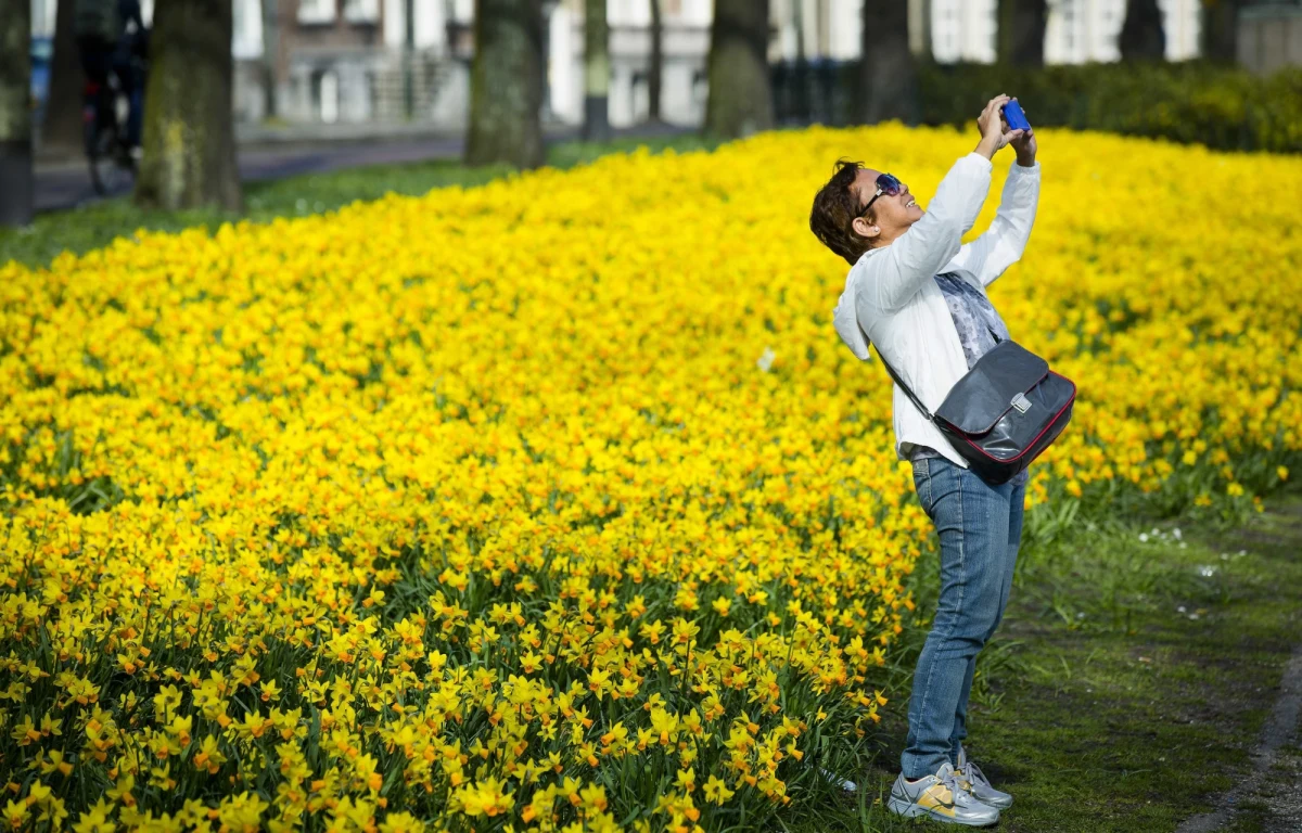 Słonecznie, niemal bezchmurnie i bardzo ciepło - pogoda będzie nas dziś rozpieszczać. Na termometrach zobaczymy nawet 21 stopni Celsjusza. Niedziela bardziej niespokojna. Synoptycy ostrzegają przed burzami, które przejdą nad Małopolską, Podkarpaciem oraz Lubelszczyzną. W poniedziałek czeka nas załamanie aury. 